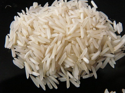 fasolia